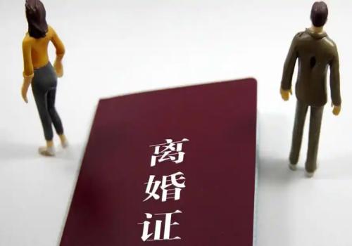 上海調(diào)查取證：兩個小孩一大一小離婚怎么判決